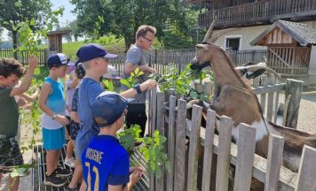 Mit Rätseln, Tieren, Römern und Feuerwehr in die Ferien in Linz-Land starten