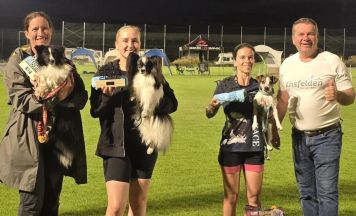 Ansfelden wurde zum Treffpunkt des Hundesports
