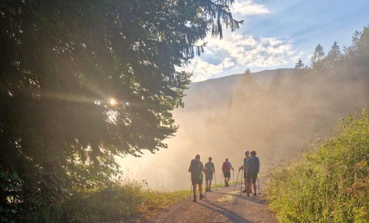 Die Pilgergruppe aus Asten auf ihrem Weg nach Mariazell (Foto: KFB Asten/Christa Stöger)