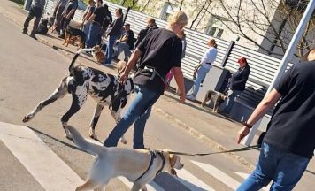ÖGV Enns lädt zum Herbstkurs für Mensch und Hund