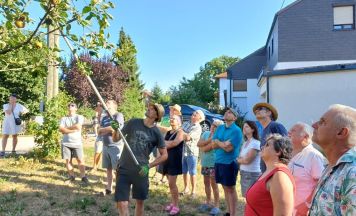 Siedlerverein zeigt, wie Bäume den Sommer besser überstehen