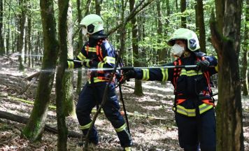 20 Feuerwehren üben Waldbrandbekämpfung im Kürnbergwald