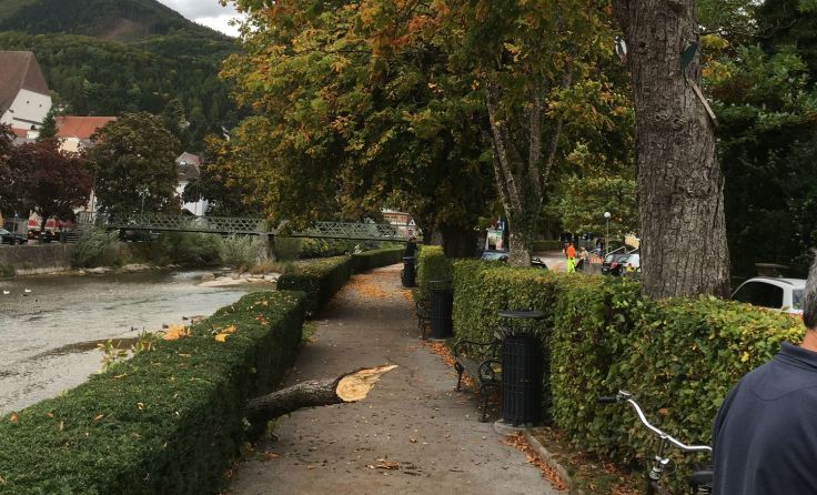 (Foto: Stadtgemeinde Scheibbs)