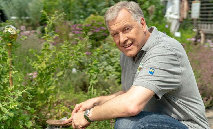 Landesrat Martin Eichtinger: „Bleib zu Hause, bleib im Garten“; Foto: Bollwein