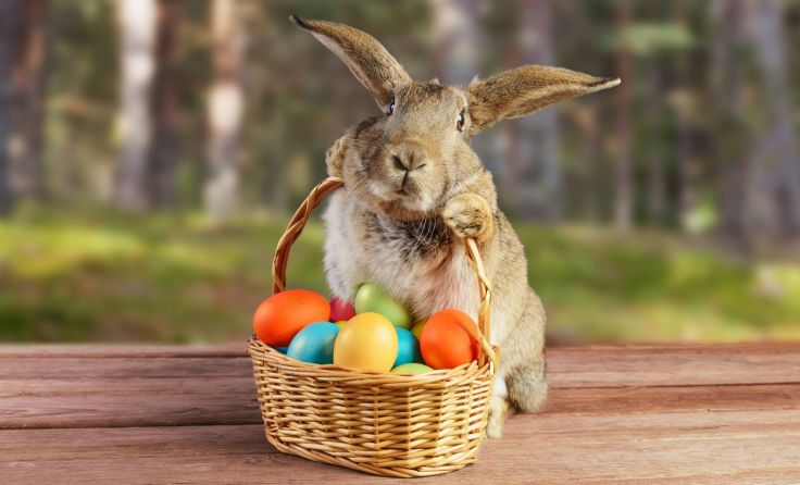 Die Fastenzeit hat ihr Ende und der Osterhase bringt Ostereier. Foto: Duet PandG/Shutterstock.com