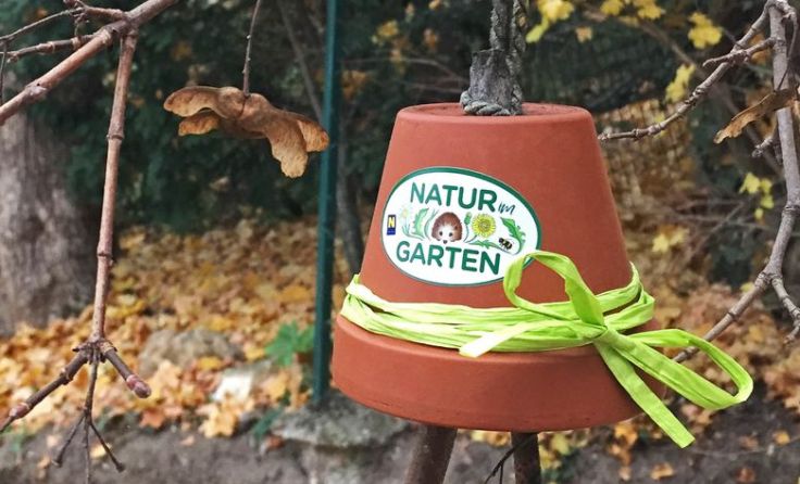 Sämereien und Fett liefern für die Vögel reichlich Energie. Foto: „Natur im Garten“ / Weber