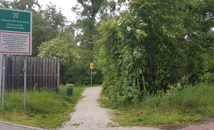 Einige Wege durch den Wald in Langholzfeld bieten Raum zur Erholung. Foto: Gemeinde Pasching