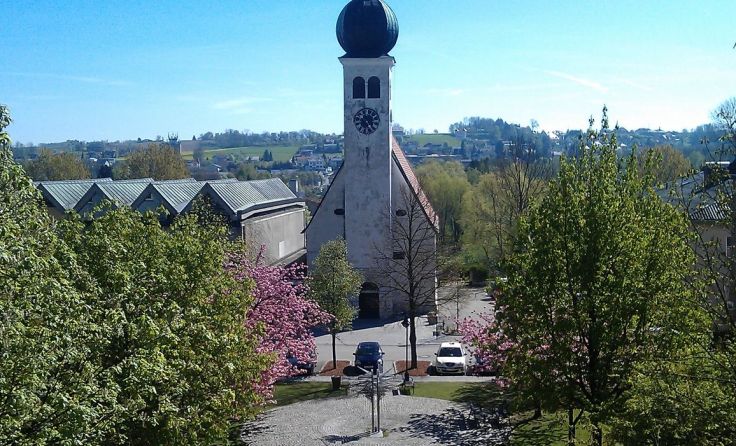 Die Bäume am Kirchenplatz spenden im Sommer Schatten. Foto: Markus Gahleitner