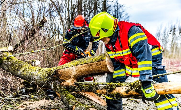 Die Freiwilligen Feuerwehren in Alkoven und Polsing waren im Einsatz. Foto: Hermann Kollinger