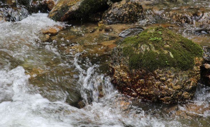 Bei den Meditationskursen können Teilnehmer zur Ruhe kommen. Foto: Andrea Peherstorfer