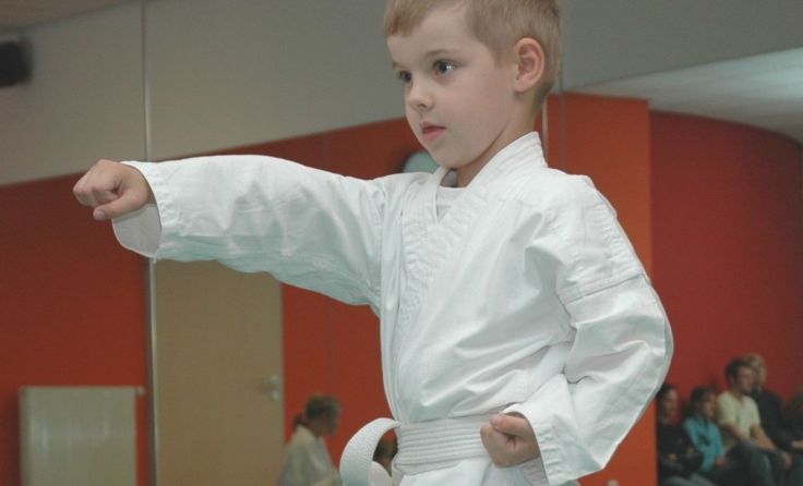 Selbstverteidigung fördert die Konzentration der Kinder. Foto: Lindenbauer/Privat