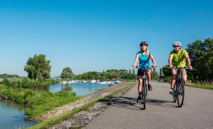Der Donauradweg lädt zu Ausflügen ein. Foto: WDG Donau Oberösterreich Tourismus GmbH