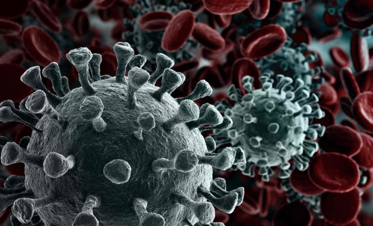 Ein 83-jähriger Mann verstarb an den Folgen des Corona-Virus. Foto: creativeneko/shutterstock.com
