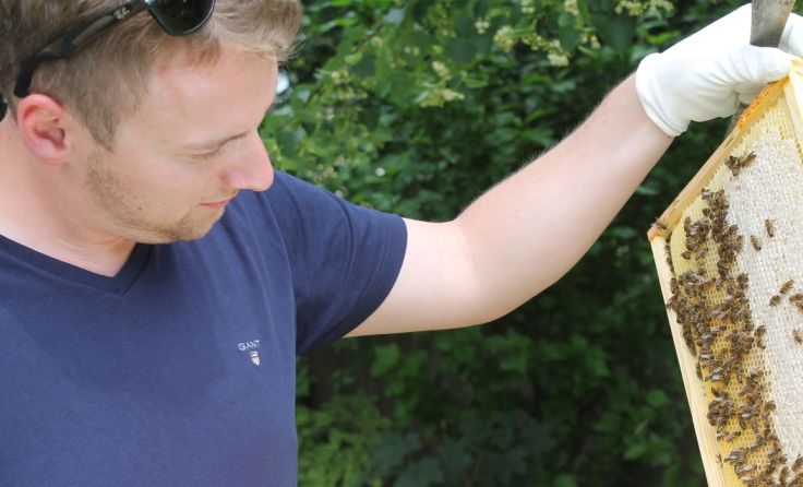 Florian Plakolb zeigt seine Eferdinger Stadtbienen Foto: LHackl