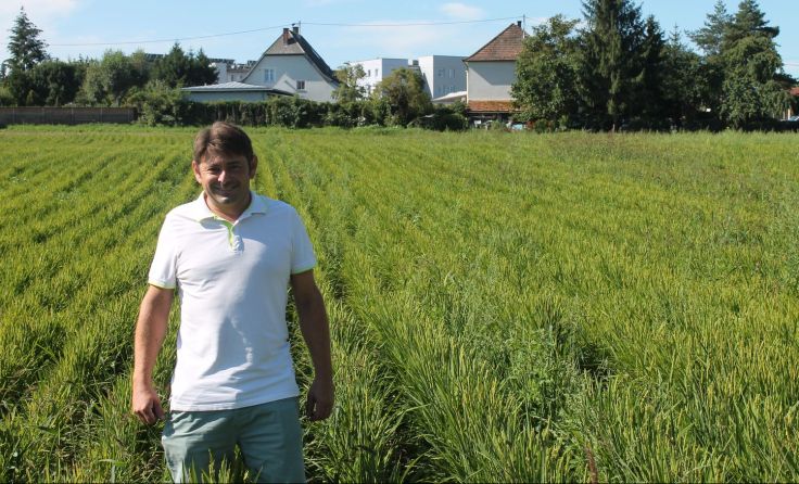 Gerhard Uttenthaller in seinem Reisfeld in Eferding. Fotos: LHackl