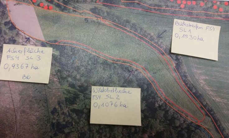 Wildobsthecken und Blühstreifen sollen am Finklhof entstehen. (Foto: Privat)