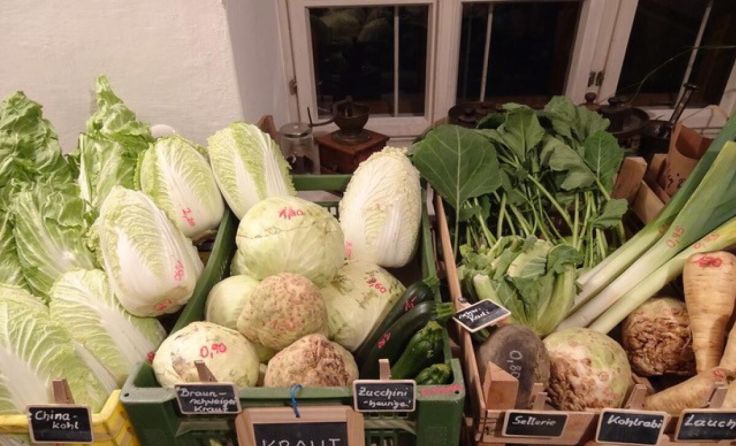 Wintergemüse wird am Bauernmarkt angeboten. (Foto: Furthmühle Pram)