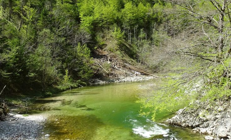 Der Frühling im Hintergebirge wurde per Video eingefangen. (Foto:Kurt Buchner)
