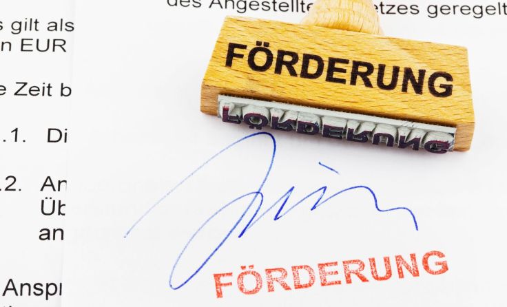 Das Land OÖ hat eine Förderung in Höhe von 12.000 Euro ausgesprochen. (Symbolfoto: E. Wodicka)
