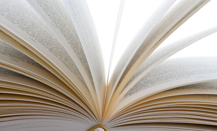 Xenia Aschauer vom Infoladen Kirchdorf stellt ihre Buchempfehlungen vor. (Foto: Wodicka)