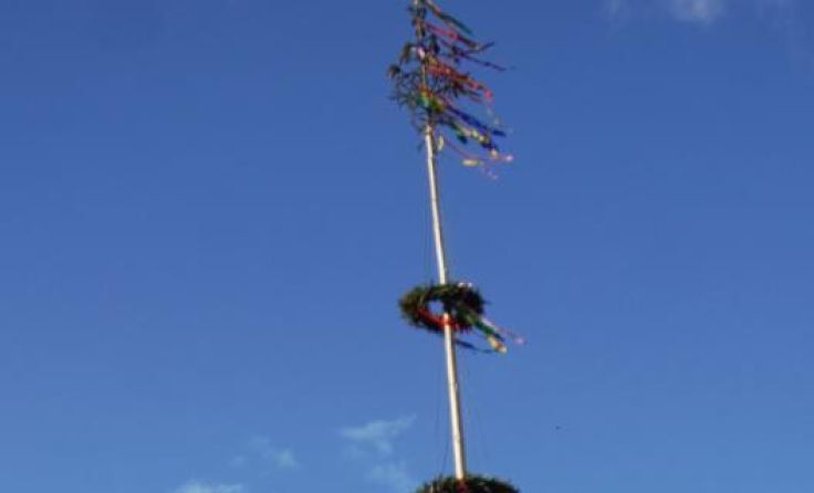 Am Sonntag, 11. Juli wird der Maibaum umgeschnitten. (Foto: SPÖ Molln)
