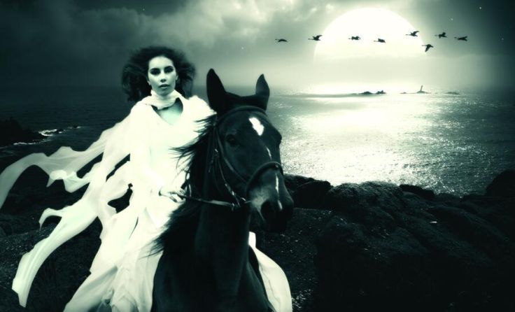 Das Cover von "Nachtmahr" (Foto: Mario Glöckl)
