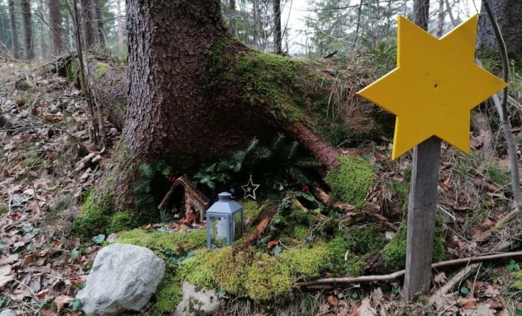 Eine Krippe mitten in der Natur, unter Baumwurzeln. (Foto: Ulrike Brunner)