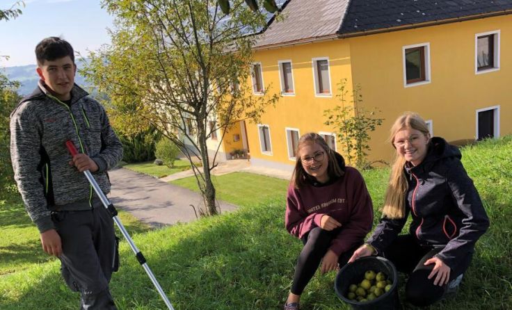 Das Team der Landjugend Nußbach bereitet sich auf die Mostkost vor. (Foto: privat)