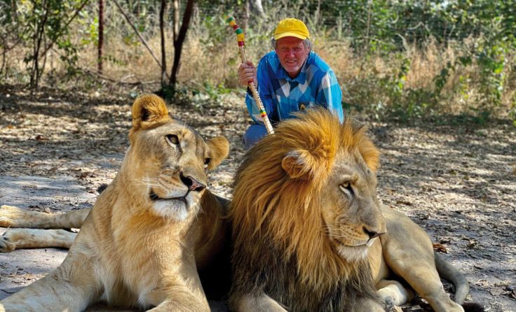 Löwen im Nationalpark im Süden von Senegal (Foto: Helmut Pichler)