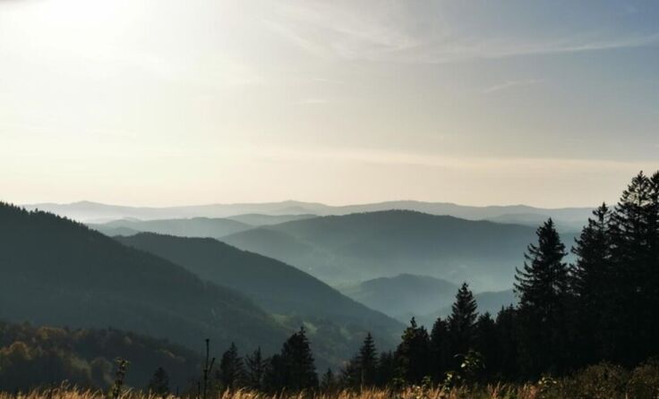  (Foto: Claudia Schallauer)