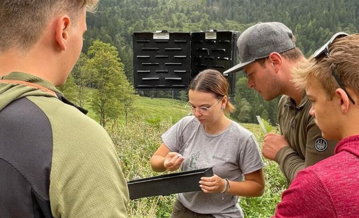 Bundesforste-Expertin Susanne Binde erklärt die Borkenkäfer-Monitoringfalle (Foto: ÖBf)