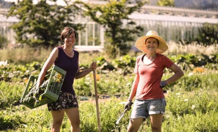Die SoLaWi Almgrün in Steinfelden lädt zum Tag der offenen Tür. (Foto: SoLaWi Almgrün)