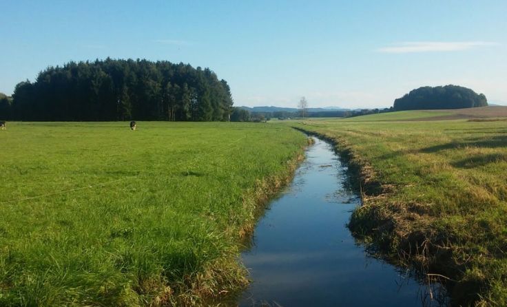 In der Natur können sich Trauernde austauschen. Foto: RK/LV OÖ