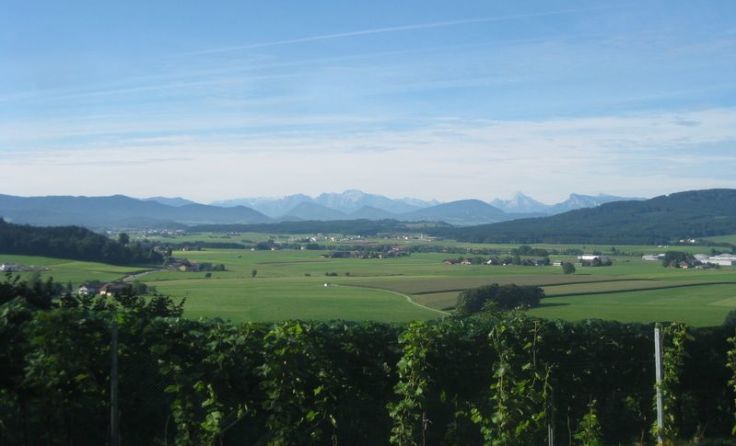 Die Gemeinde Lengau bekam im Bezirk Braunau die meisten Stimmen. Foto: Falb Adi
