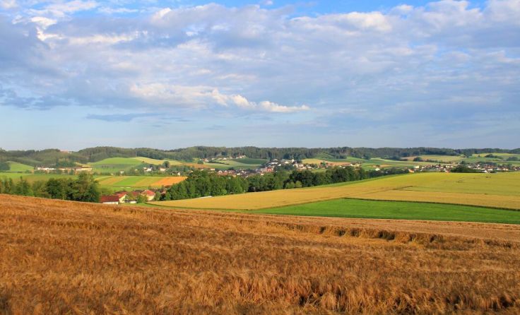 Höhnhart wird in den Fokus gerückt. (Foto: Heinrich Wagner)