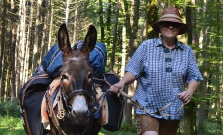 Esel Napoleon wird die Wandergruppe begleiten. (Foto: Berndlgut)
