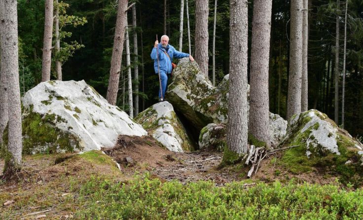 Bei einer geologischen Exkursion wird der Kirner Wald erforscht. (Foto: Isolde Ulbig)