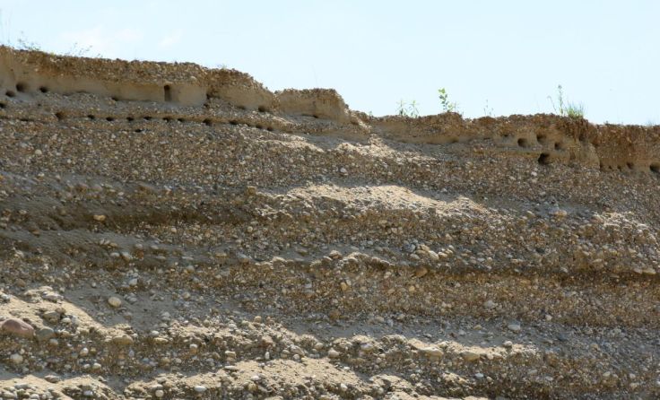 Quartär-Kiesgrube mit Uferschwalben-Bruthöhlen bei Bergham (Foto: Isolde Ulbig)