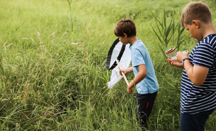 Rund um den Biotopacker in Eglsee findet ein Aktionstag statt. (Foto: Melanie Schuhböck)