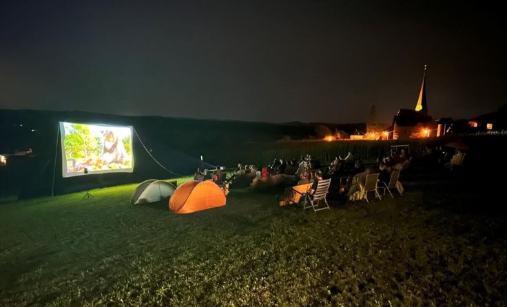 Der Film wurde unter freiem Himmel gezeigt. (Foto: OÖVP St. Georgen)