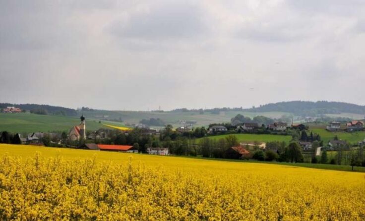 In Treubach gibt es 2024 einen Bürgermeisterwechsel. (Foto: Leopold Dachs)