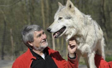 Wolfsexperte Kurt Kotrschal zu Gast in Ried