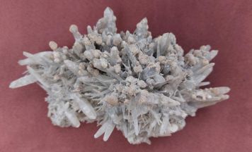 Mineralien- und Fossilienbörse in Ried zeigt Schätze aus aller Welt