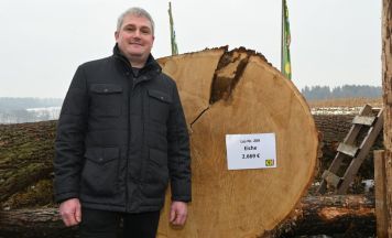 „Goldene Axt“ für Eiche aus Hohenzell