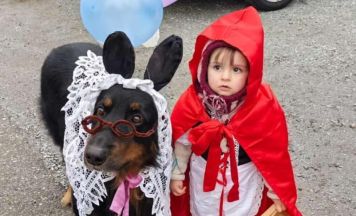 Kreative Kostüme beim Faschingsumzug in Kirchdorf