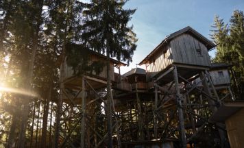 Neustart in Kopfing: Aus Baumkronenweg wird WaldEntdeckerWelt