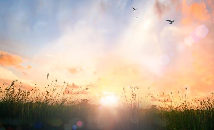 Gemeinsam wird in Esternberg der Sonnenaufgang erlebt. (Foto: CHOAT BOONYAKIAT/stock.adobe.com)