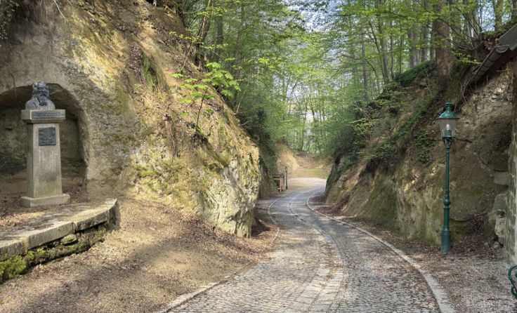Unter anderem kommt es in der Kellergröppe zum Frühlingserwachen. (Foto: Verein Raaber Museen)