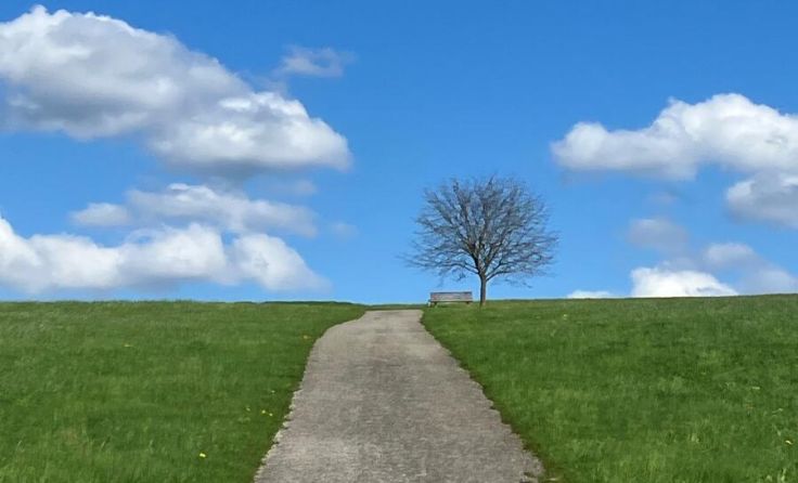 Die Pilgerwanderung führt von Schärding nach Münzkirchen. (Foto: Doris Stadlmair)