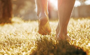 „SoilWalk“ macht Boden in Schärding zum Thema